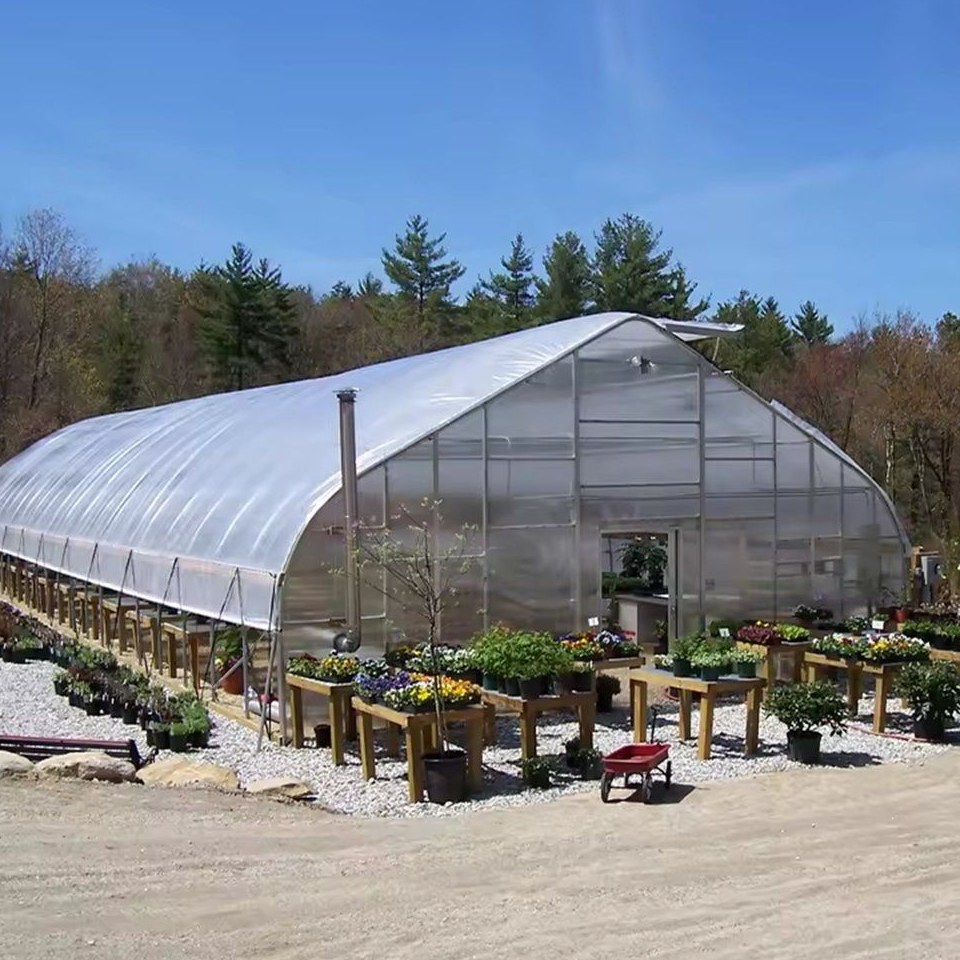 Gothic Arch Tunnel Greenhouse with PO Film for Vegetable Farms