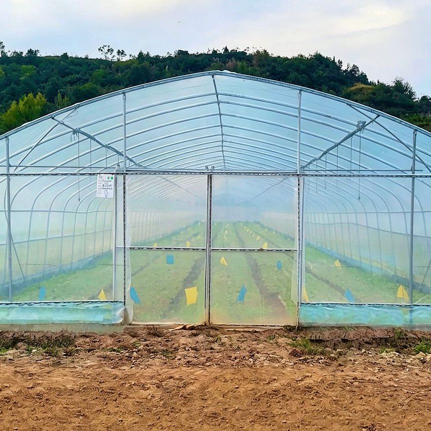 Film covered arch greenhouse standing on a hillside site