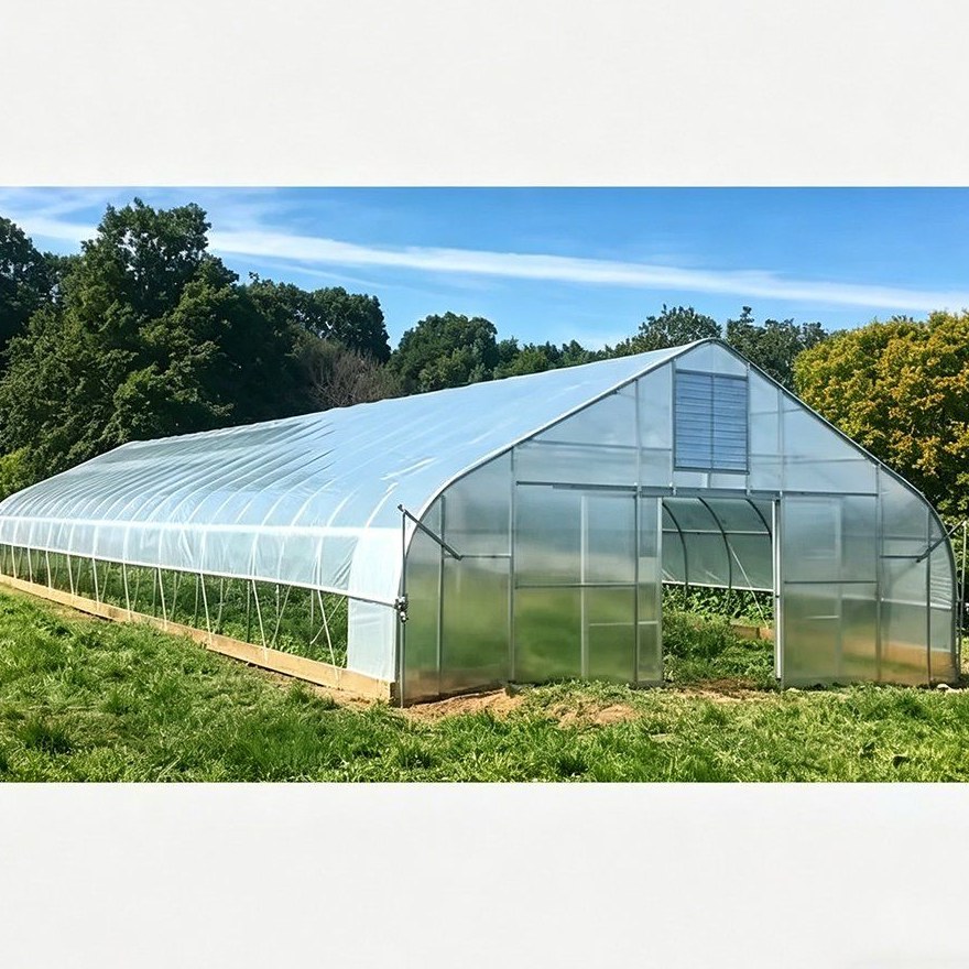 Single film greenhouse standing on a grassed plot