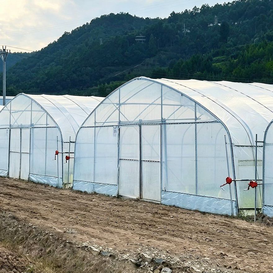 Film greenhouses standing in a valley below wooded hills
