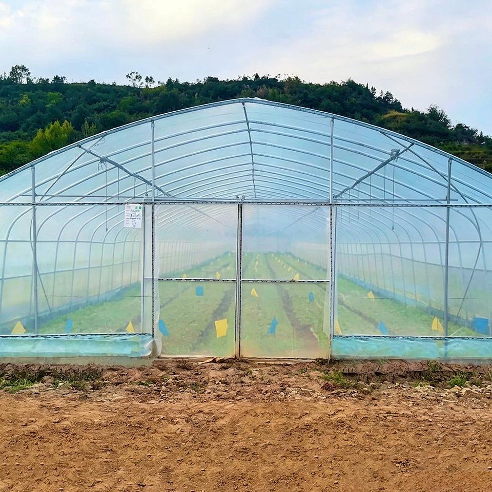 Greenhouse Material with Polycarbonate Sheet and Galvanized Steel Frame