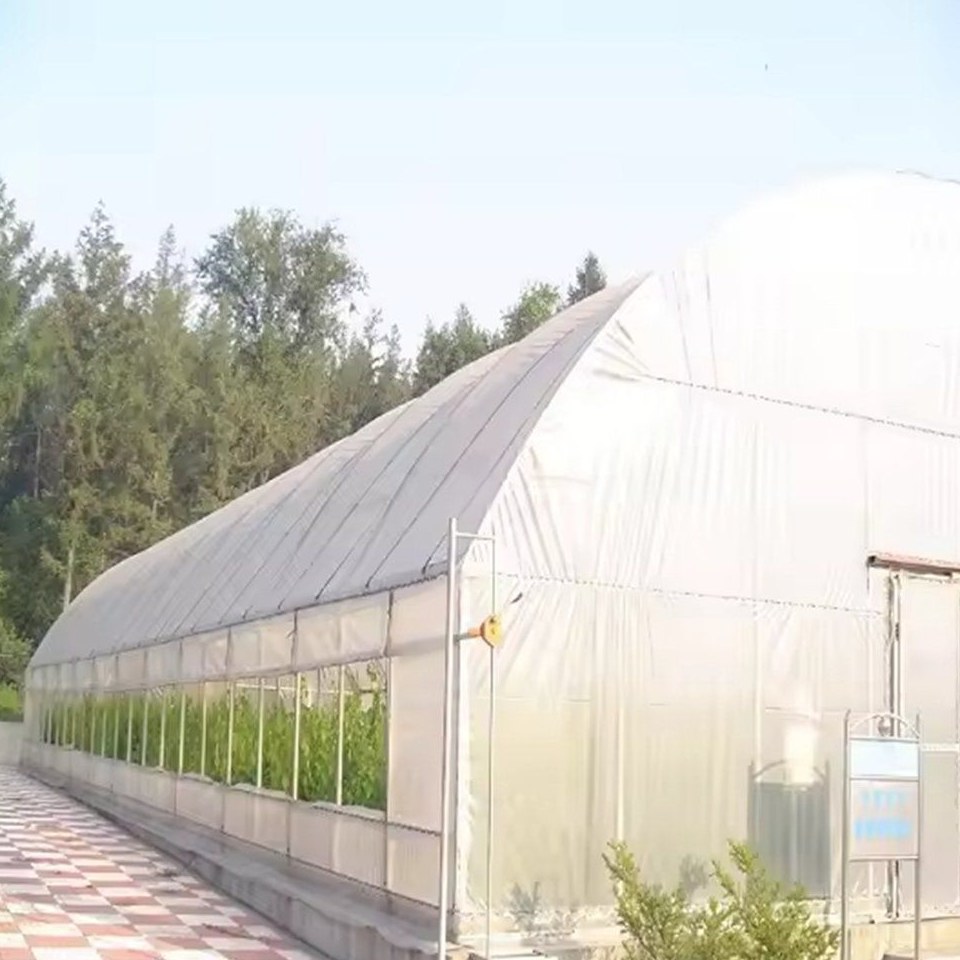 Single span greenhouse with a double film cover beside a paved yard