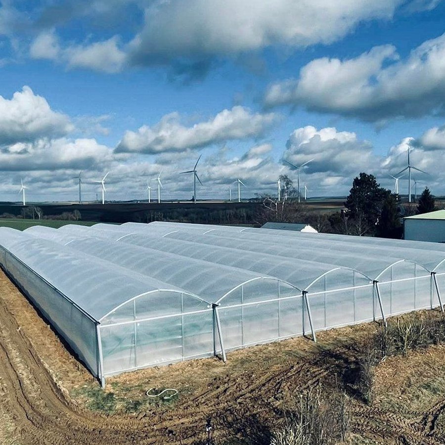 Single span film tunnel greenhouse standing beside a field under a blue sky