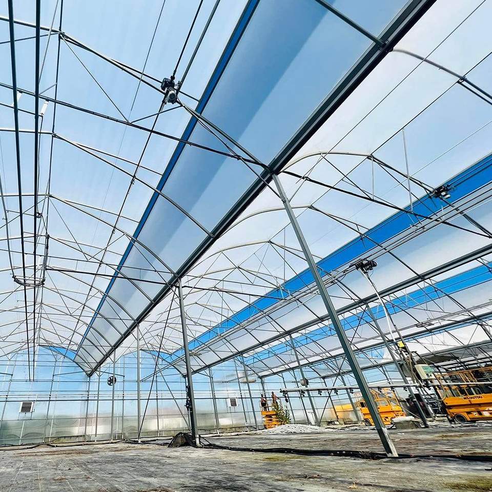 Steel arches and blue banded film above an empty growing floor