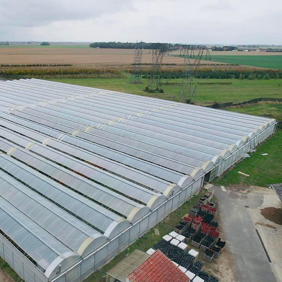 Overhead view of linked film greenhouse roofs beside farmland