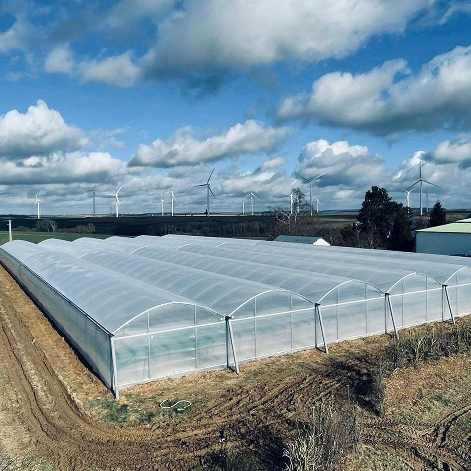 Heavy Duty Galvanized Steel Tunnel Greenhouse for Vegetable Growing
