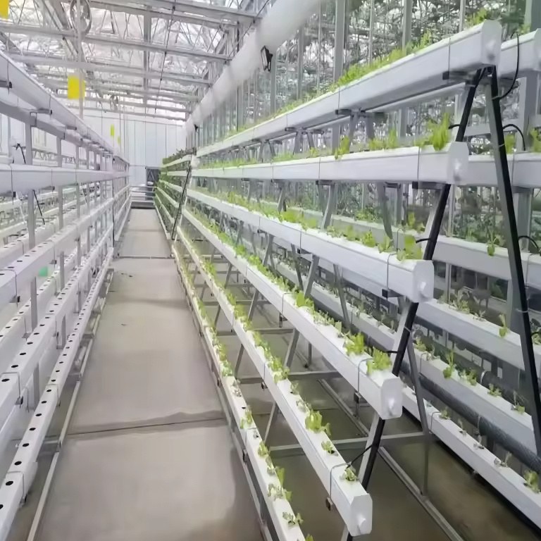 Smart Hydroponic System with Digital Fertigation Controller for Growers