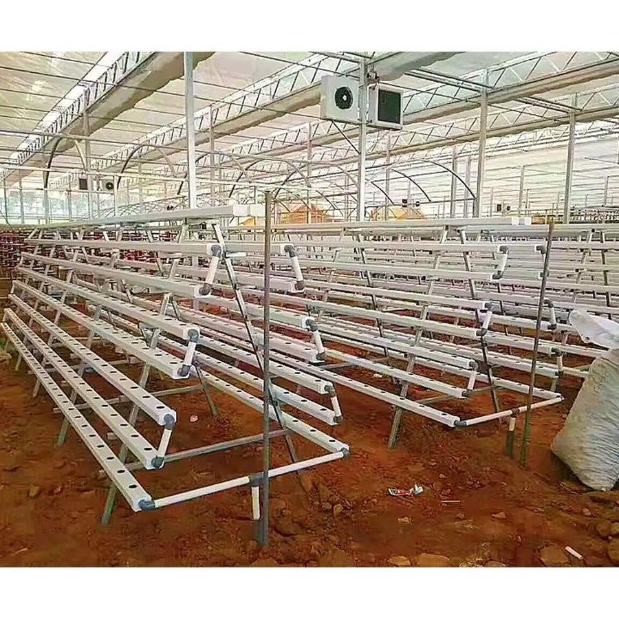Rows of white growing channels set out on a greenhouse floor