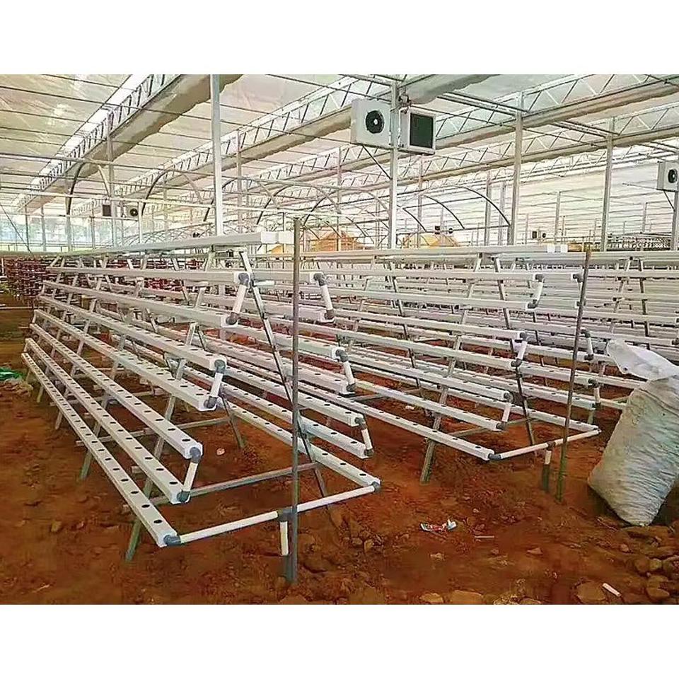 Long rows of growing channels under a film greenhouse roof