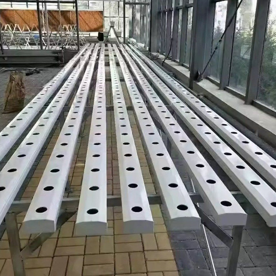 NFT hydroponic growing channels laid out in rows inside a greenhouse