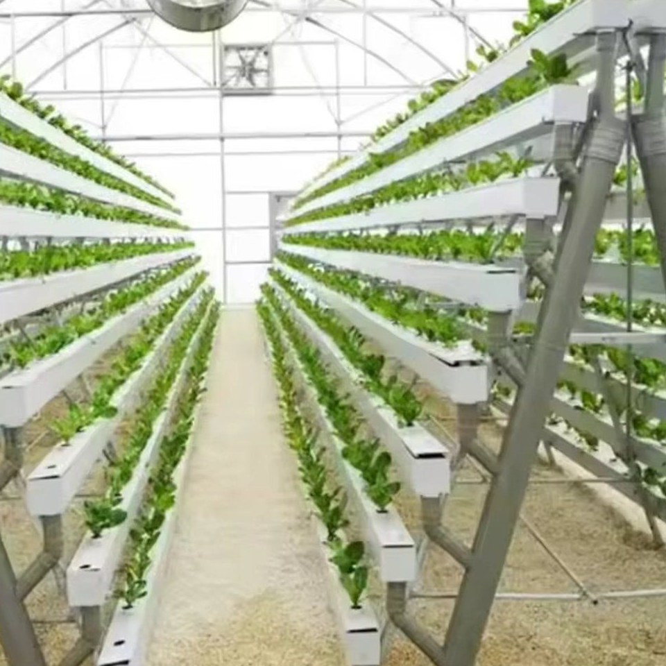 Commercial Hydroponic Vertical Farm System with NFT Growing Channels