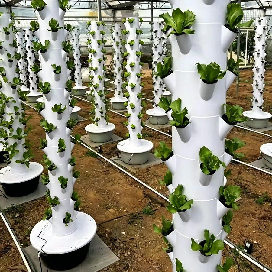 Rows of hydroponic grow towers under a greenhouse roof