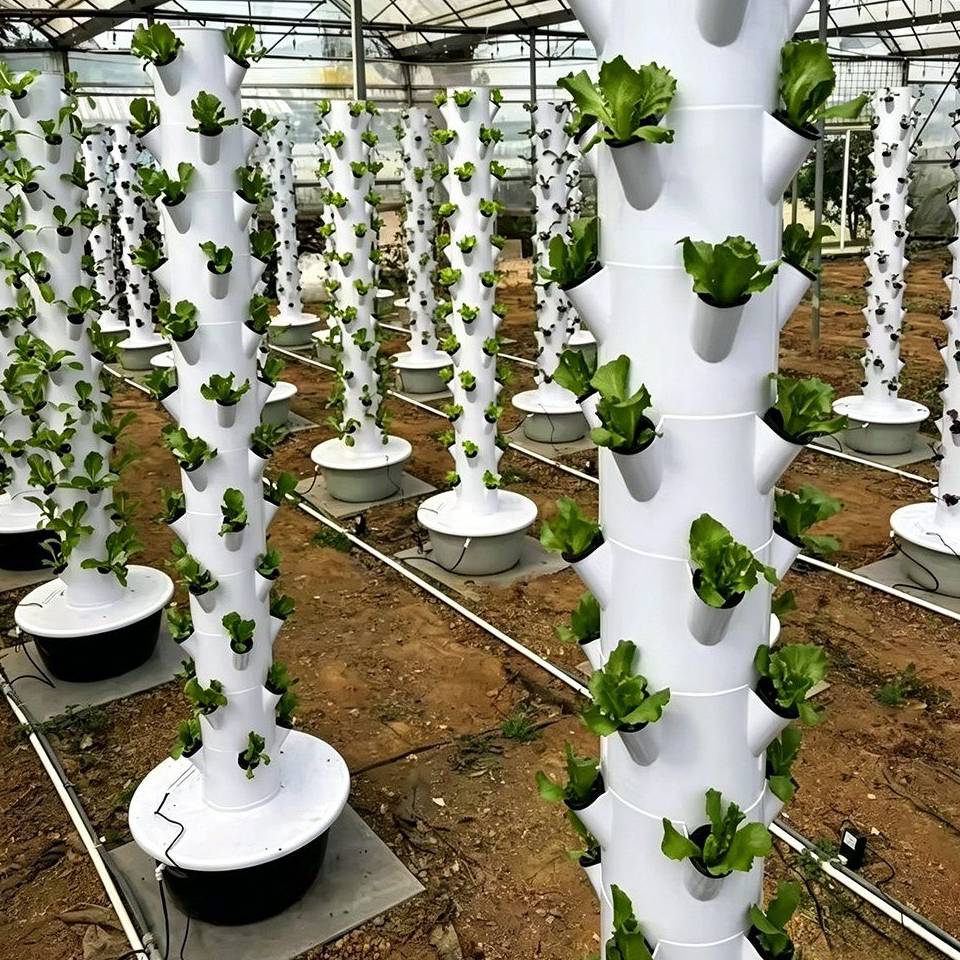A row of white hydroponic grow towers standing in a greenhouse