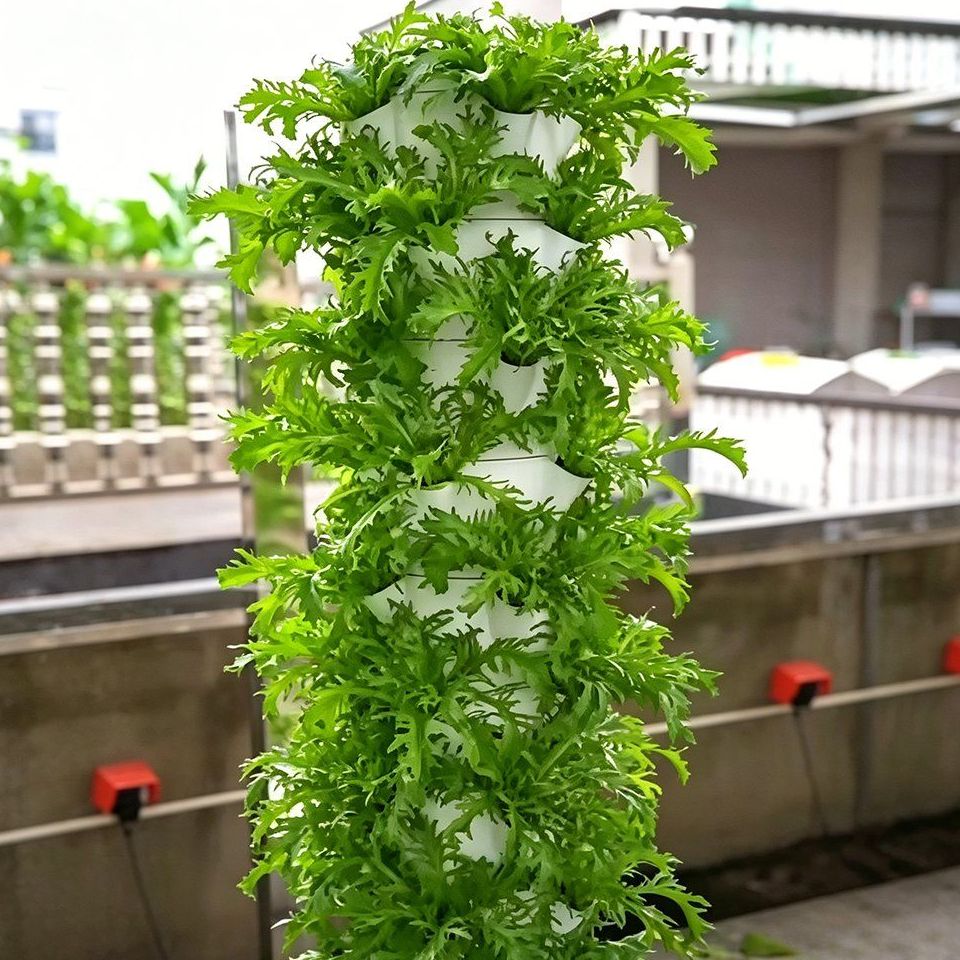 5 Layer Hydroponic Grow Tower Kit for Lettuce and Herb Production
