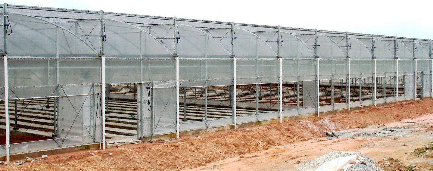 Industrial glass greenhouse with glazed walls reflecting the sky