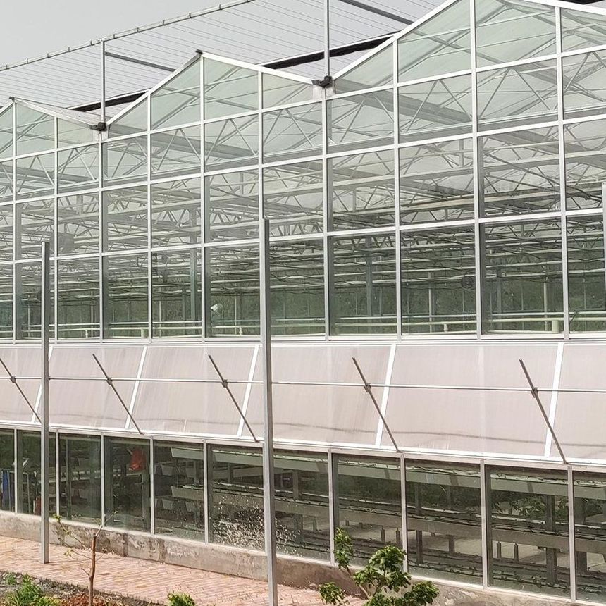 Modern glazed greenhouse range seen from outside along the side wall