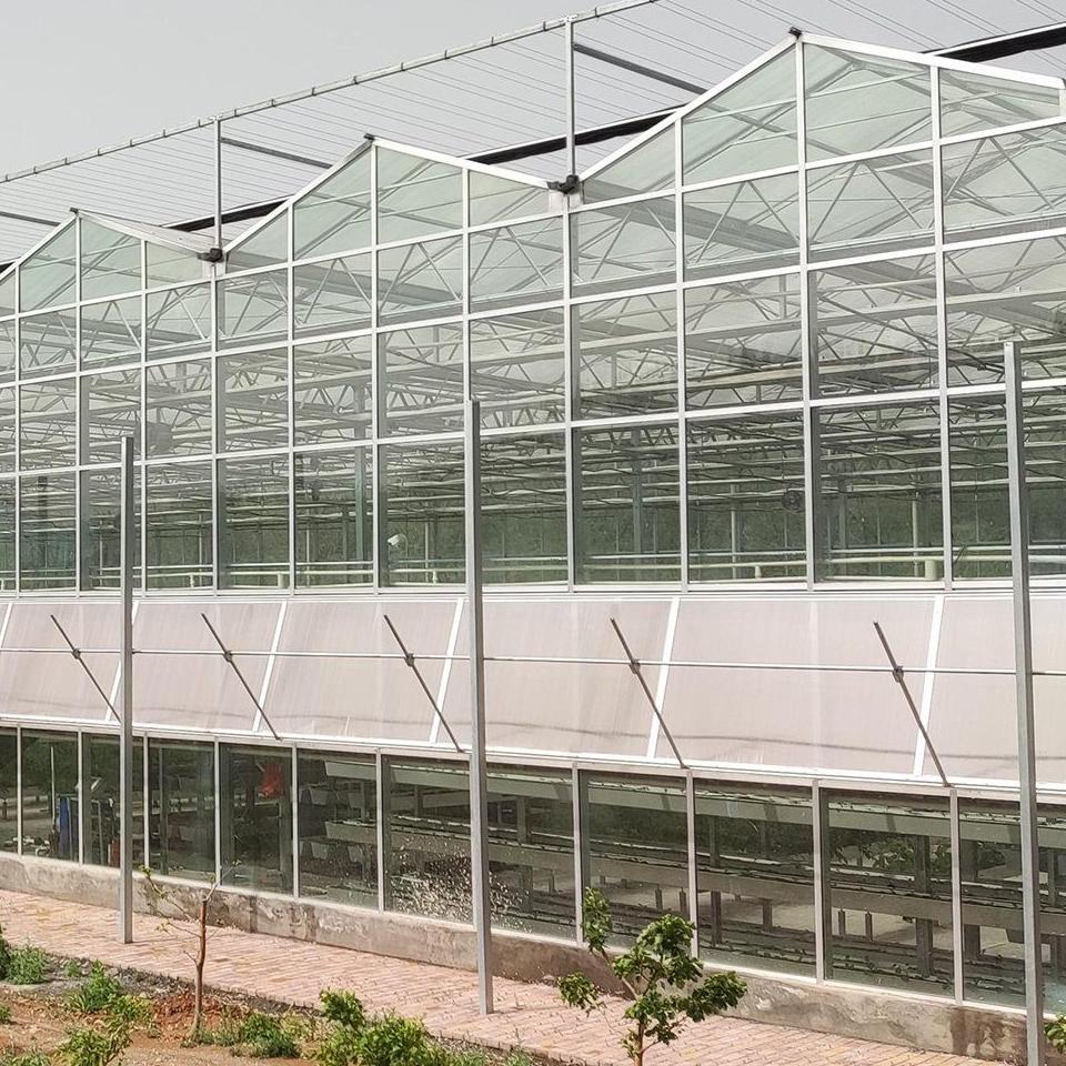 Industrial Glass Greenhouse with Assembly Kit for Farm Operators