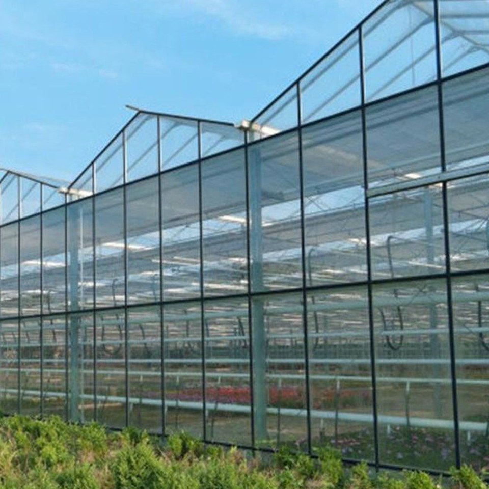 Pitched roof greenhouse with insulated panel walls and planting outside