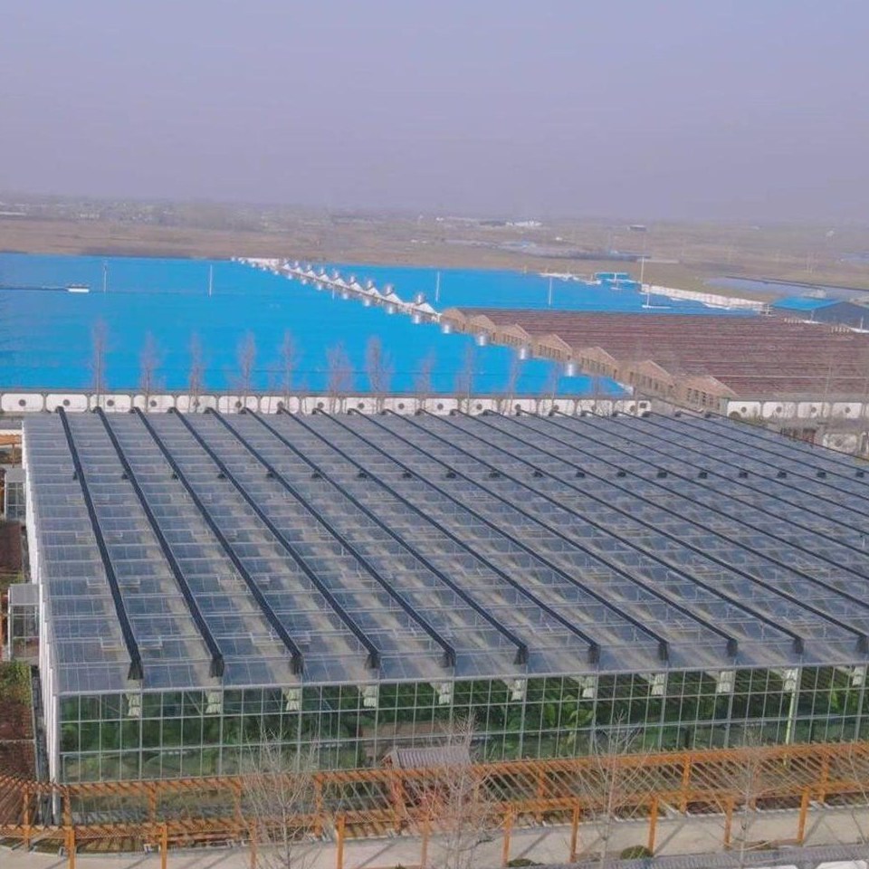 Large panel greenhouse range seen across open ground on a hazy day