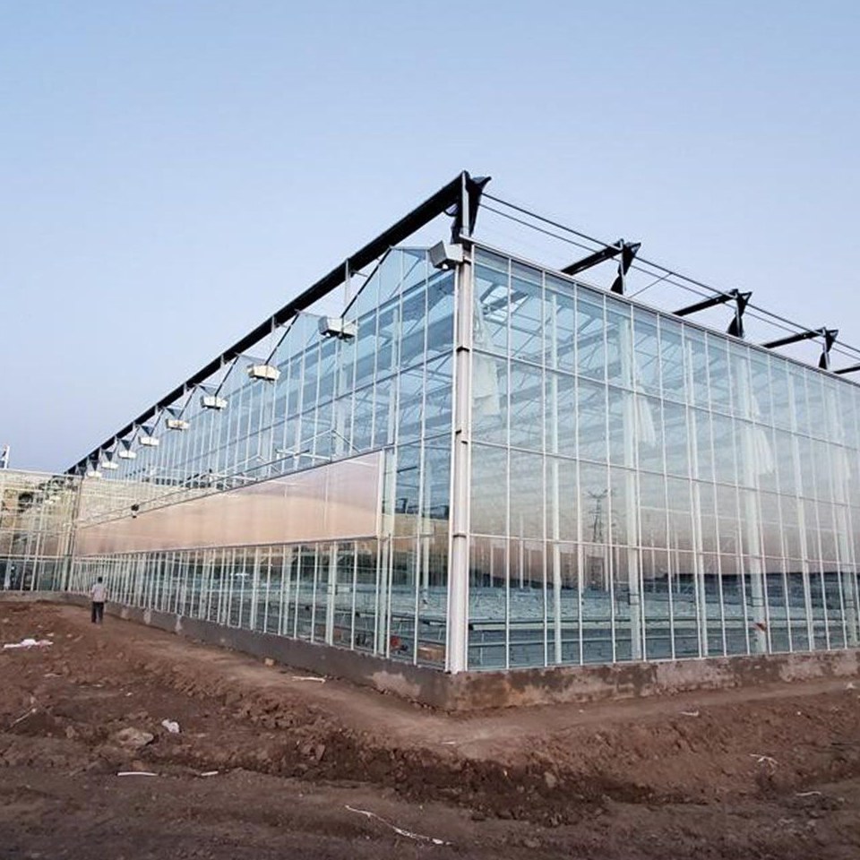Insulated polycarbonate panel greenhouse seen from the front of the site