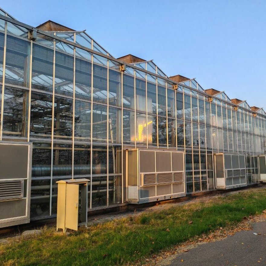 Panel greenhouse range with service equipment along the side wall
