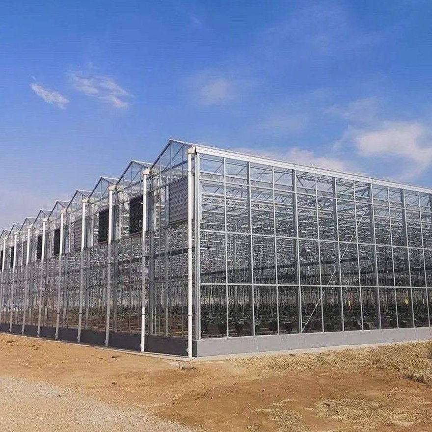 Wide insulated panel greenhouse under a clear sky