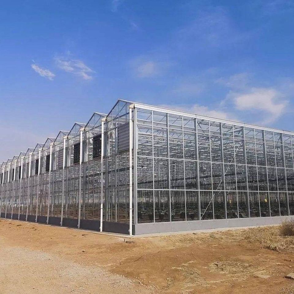 Insulated PC Panel Greenhouse with Twin Wall Polycarbonate for Growers