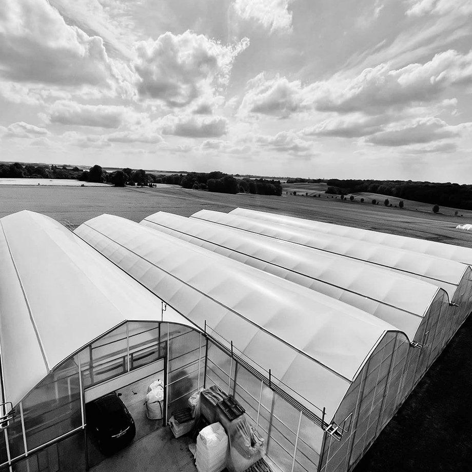 Long row of film covered greenhouses photographed across an open site