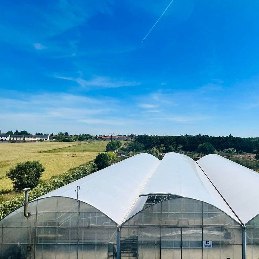 Large film covered greenhouse range standing over open farmland