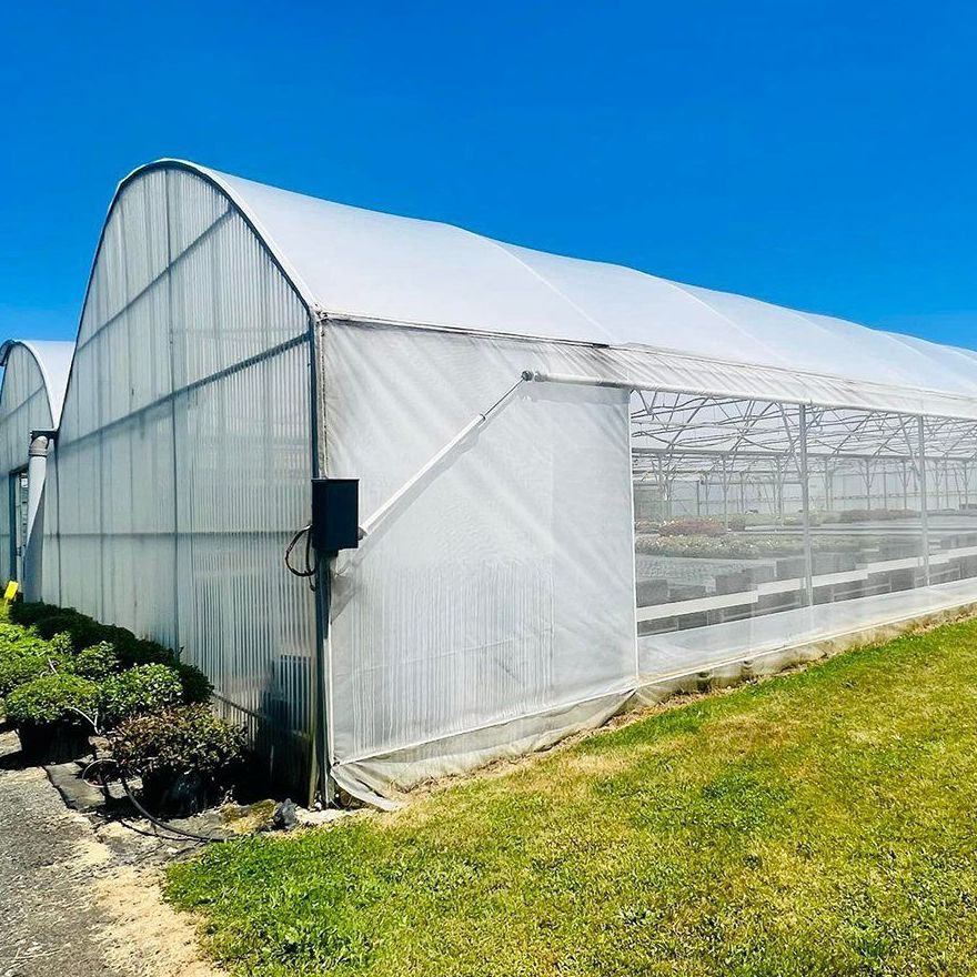 Film covered multi span greenhouse standing on a grassed site