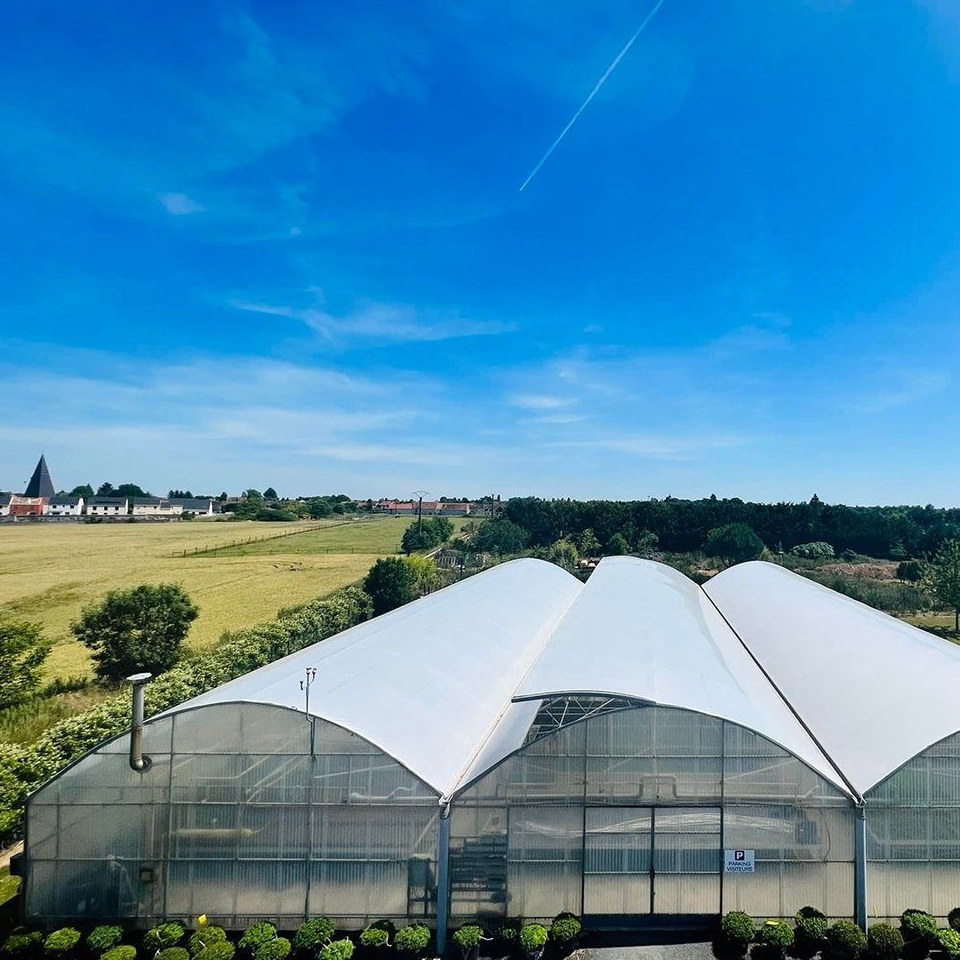 Large Scale Commercial Film Greenhouse for Industrial Farming Operations