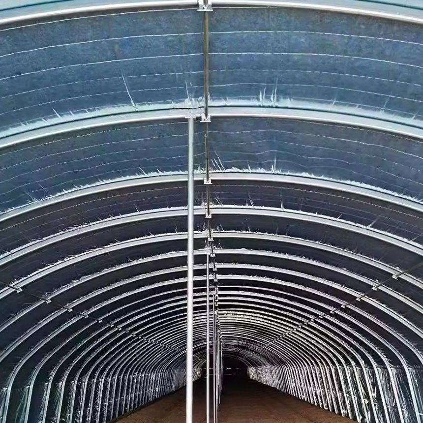 Galvanized steel arches and purlins seen from inside a multi span greenhouse