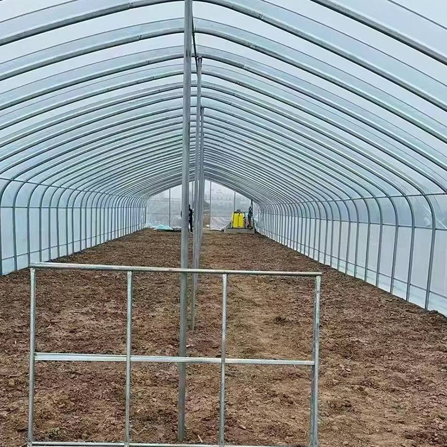 Arched film covered greenhouse bay open to the sky during construction