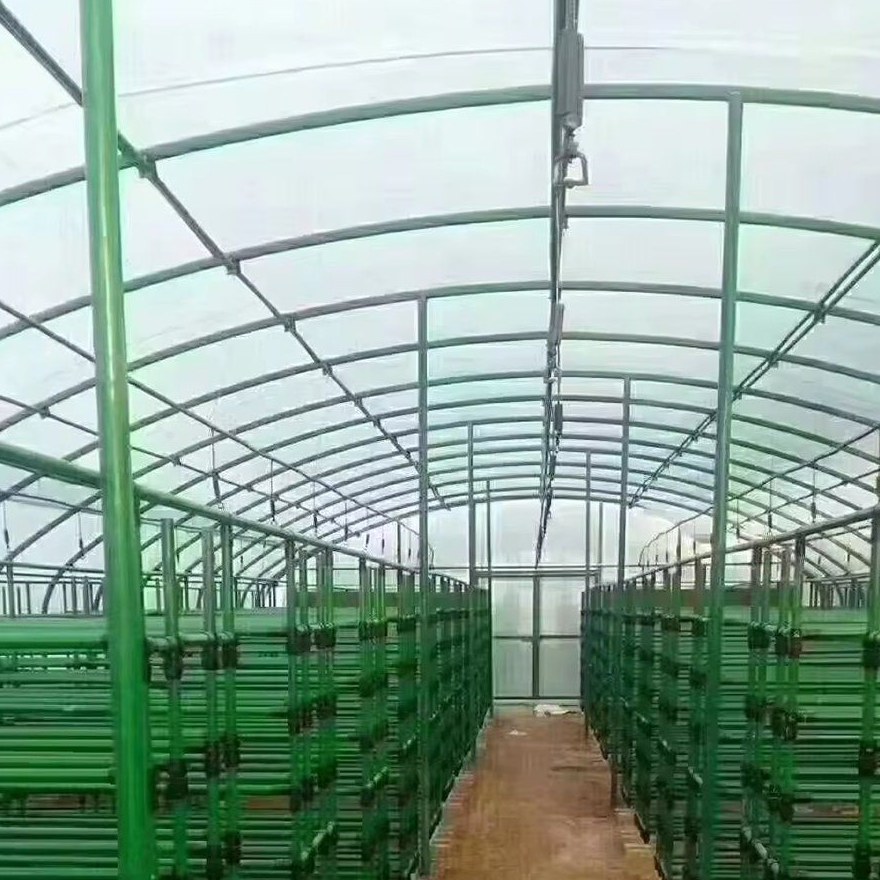 Painted steel frame and growing benches under a covered bay