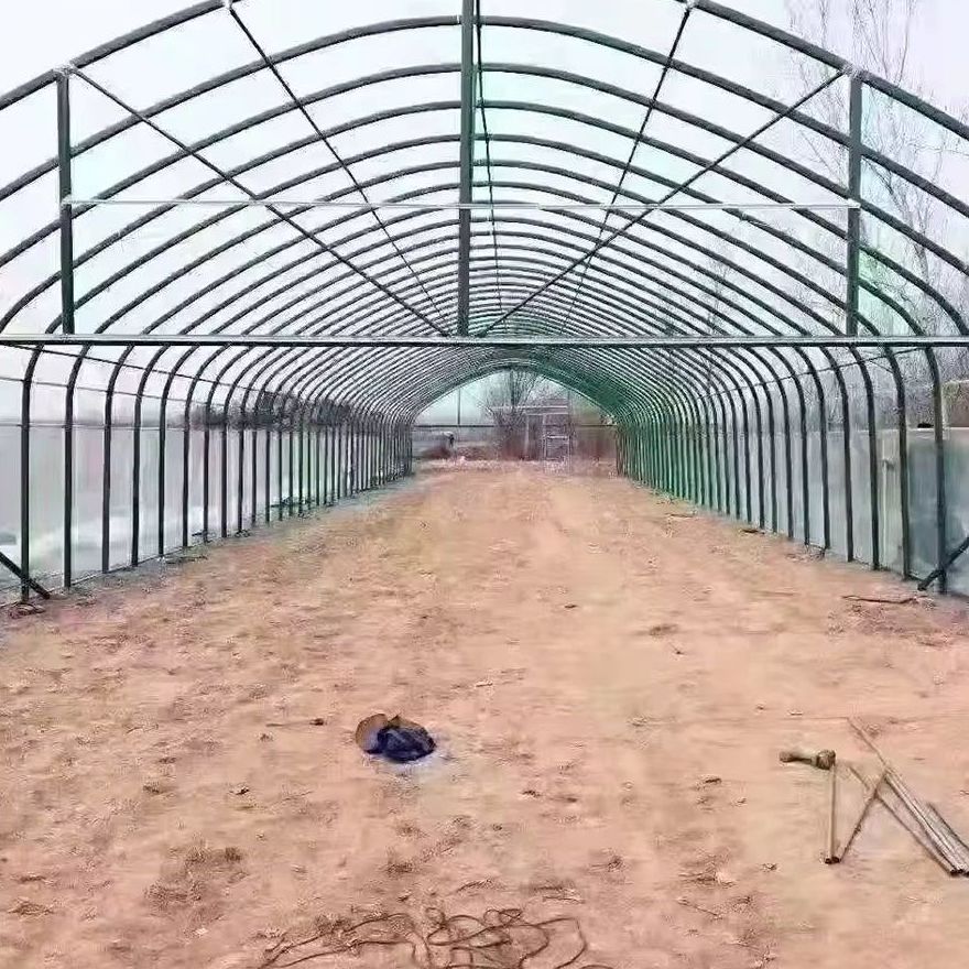 Steel arch frame of a greenhouse bay with the film partly fitted