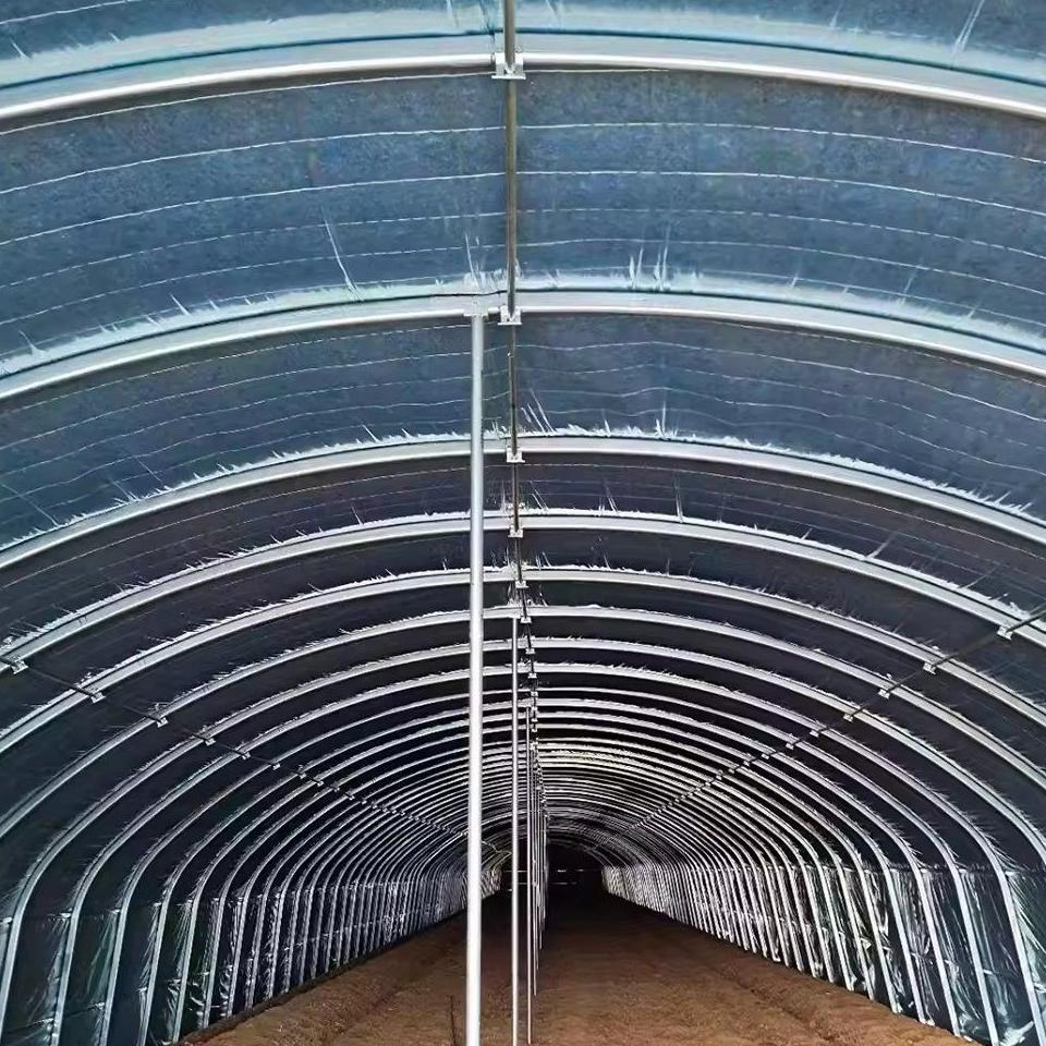 Multi Span Agricultural Greenhouse with Double Layer Film for Hydroponics
