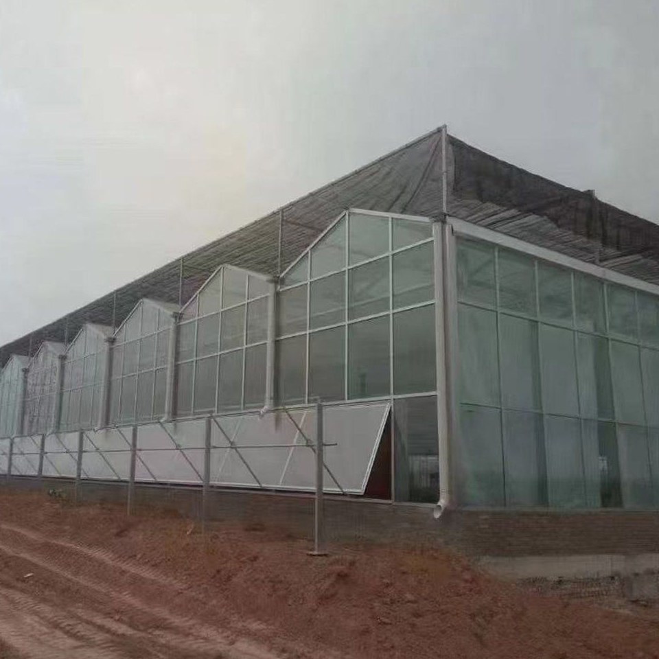 Gable end of a glass greenhouse with a glazed partition wall