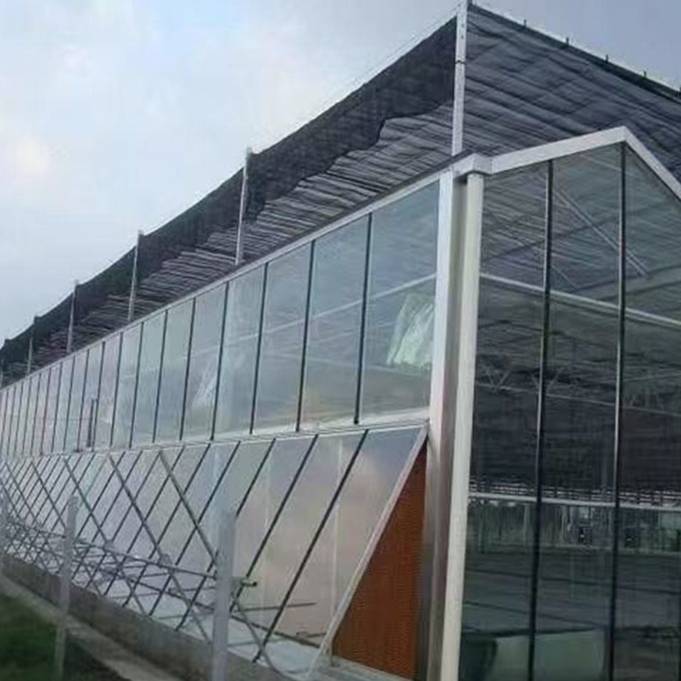 Large glass facade of a commercial greenhouse with a pitched roof