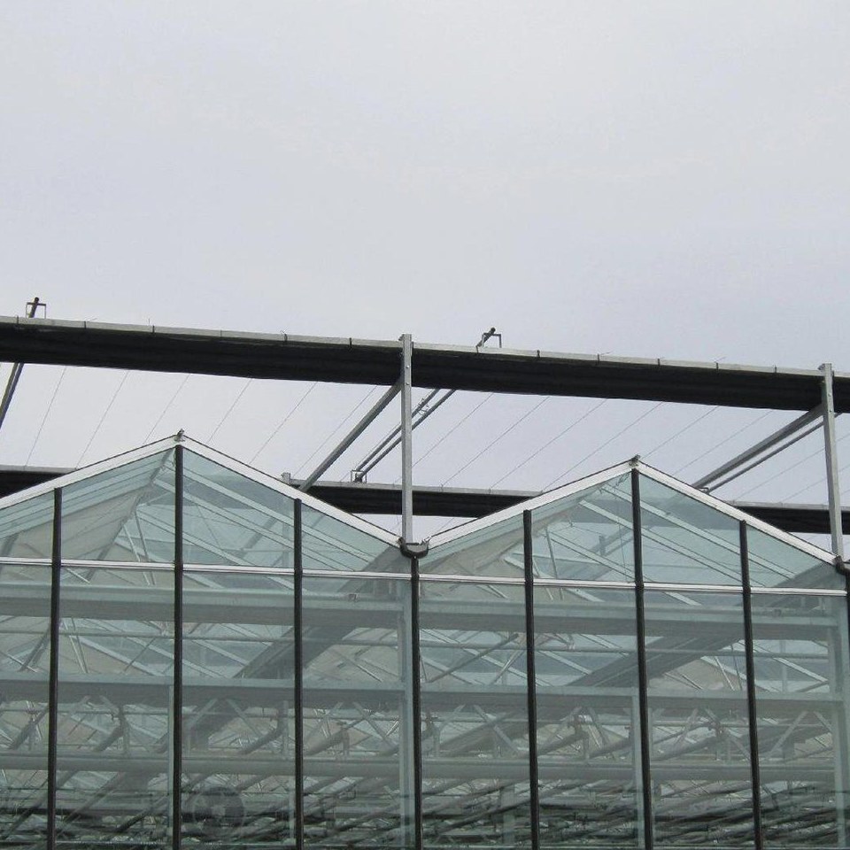Close view of a glazed roof with ridge vents on a multi span greenhouse