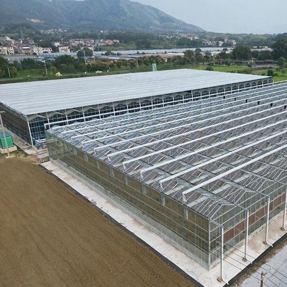 Agricultural Commercial Multi Span Glass Greenhouse for Vegetables