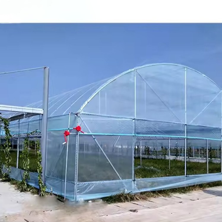 Film greenhouse with a blue painted steel frame standing in the open