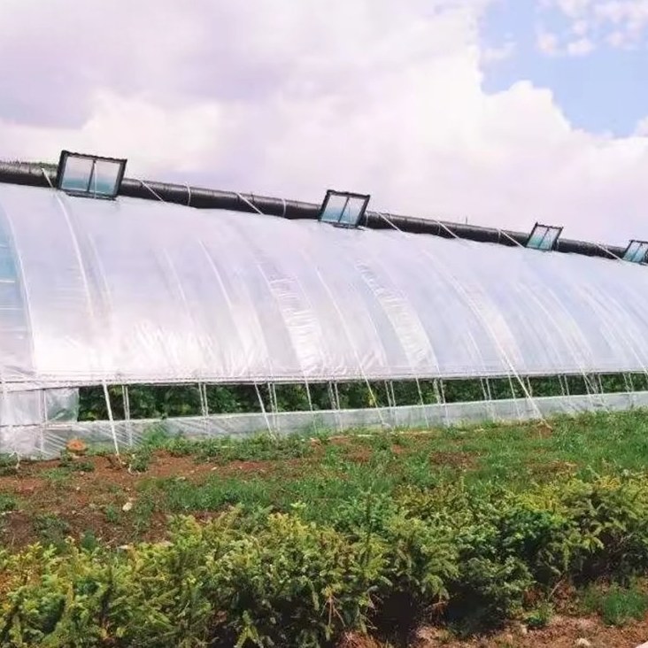 Long row of film covered multi span greenhouses under a cloudy sky