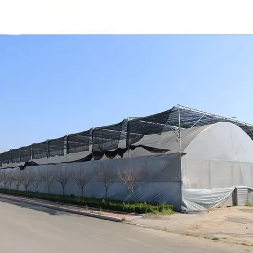 Galvanized steel hoops and purlins inside a multi span greenhouse bay