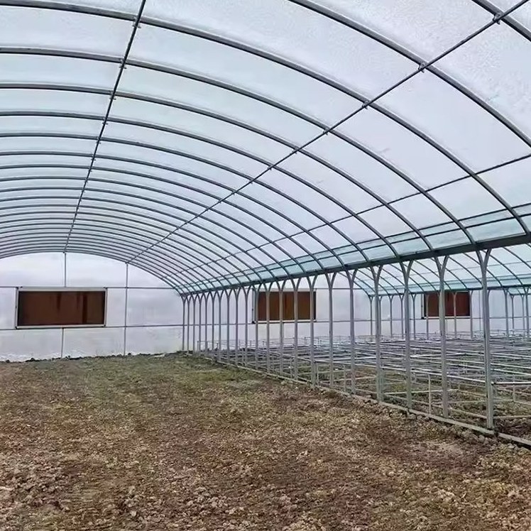 Arched frame and covering seen from inside a multi span house