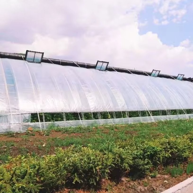 Aluminium Frame Multi Span Greenhouse for Commercial Hydroponic Farms