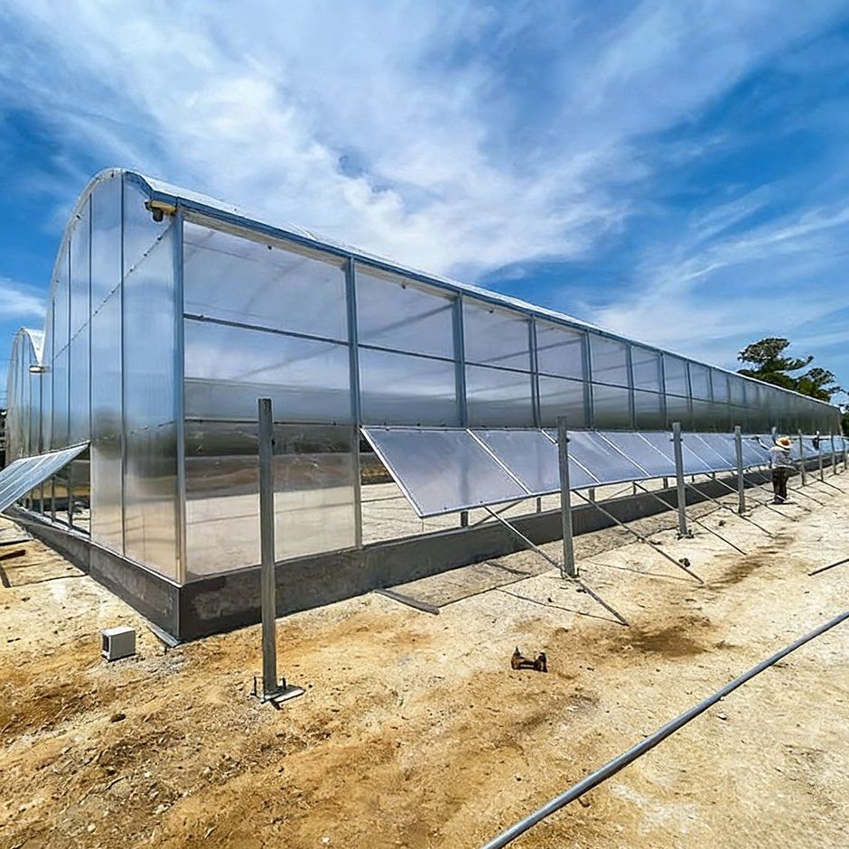 polycarbonate sheet panels and side vents on a greenhouse wall