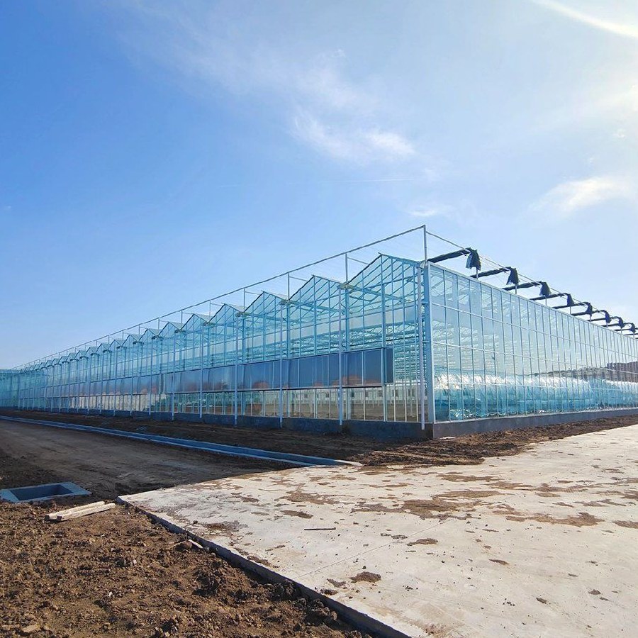 Pitched roof polycarbonate greenhouse standing on prepared ground