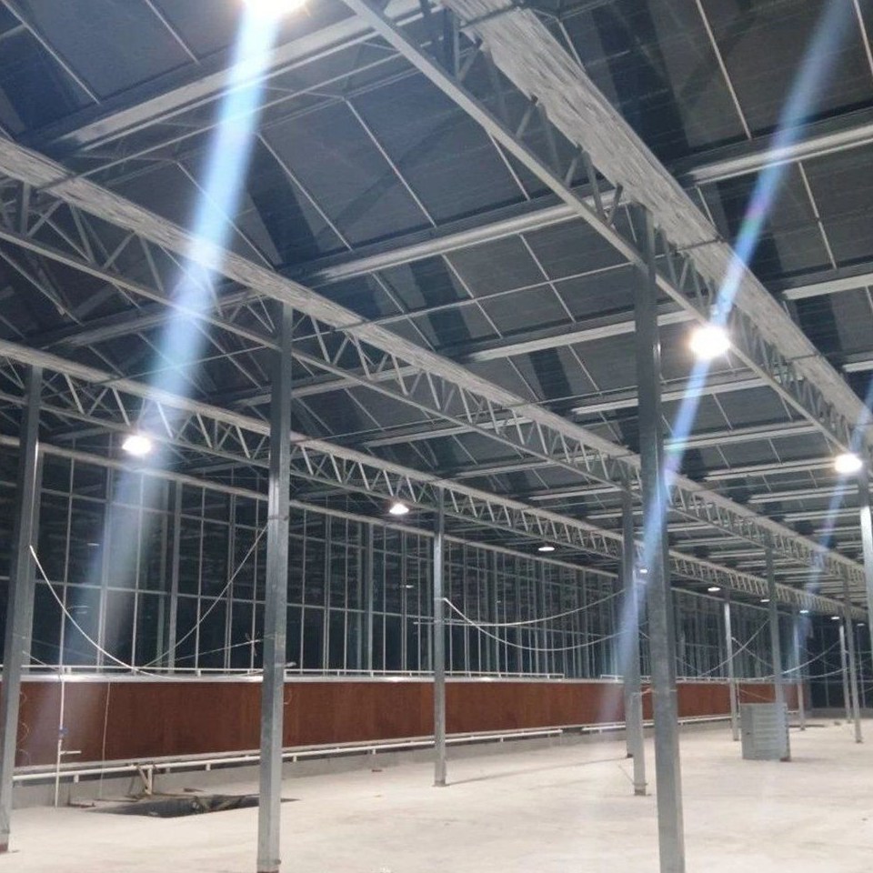 Steel frame and glazing bars seen from inside an empty greenhouse
