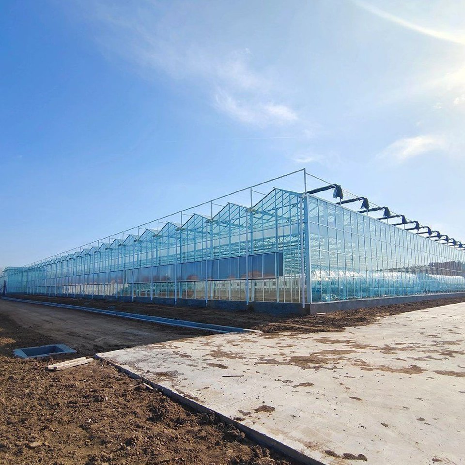 Twin Wall Polycarbonate Greenhouse Kit for Backyard and Hobby Growers