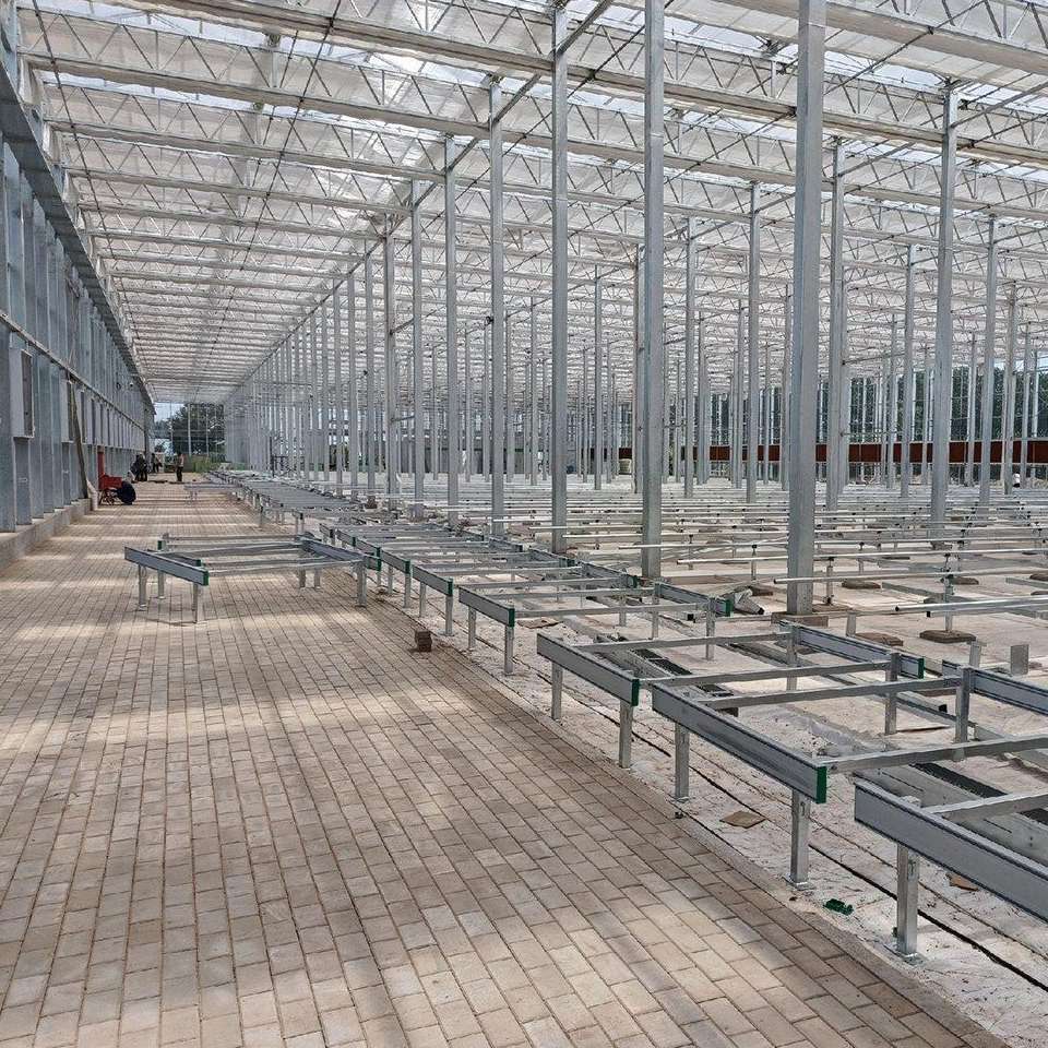 Empty interior of a polycarbonate greenhouse with a central paved walkway